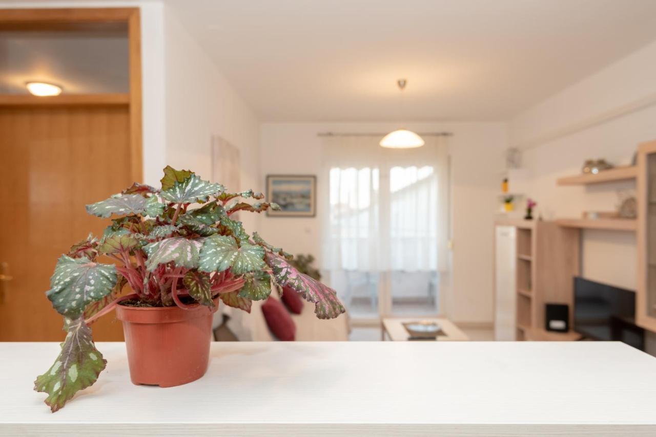 Apartman Valter Zadar Eksteriør bilde